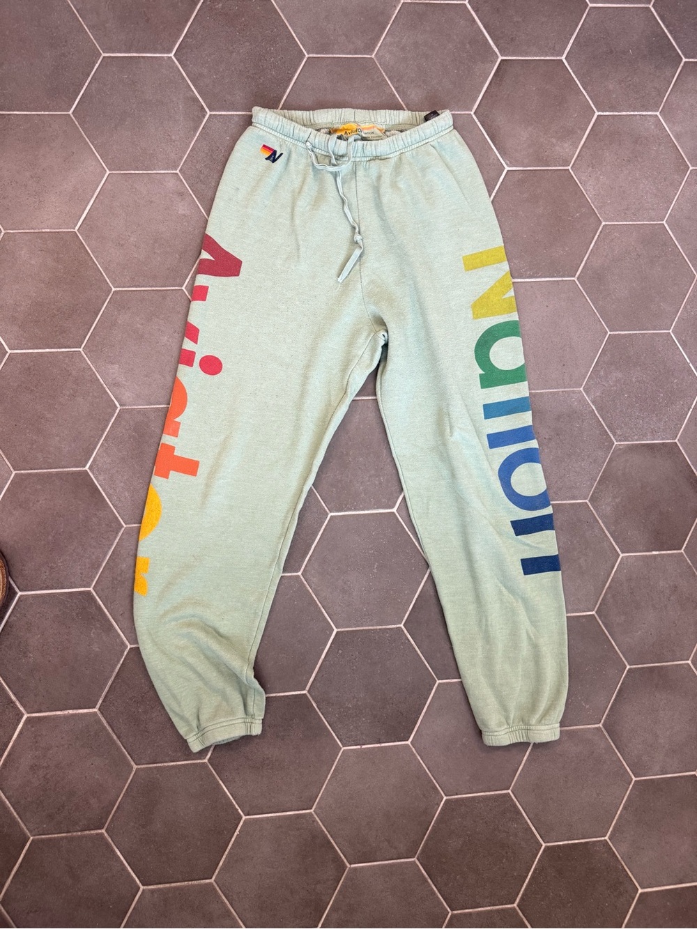 Aviator nation Rainbow Logo Mint adult Sweatpants